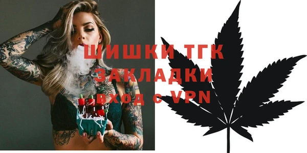 2c-b Надым