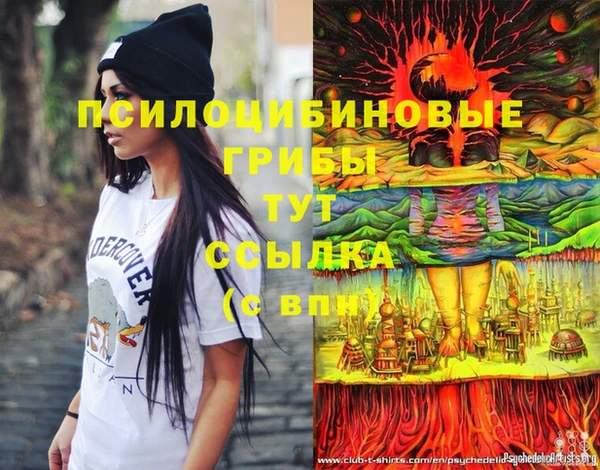СК Наволоки