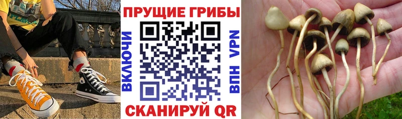Псилоцибиновые грибы мухоморы  Моздок 